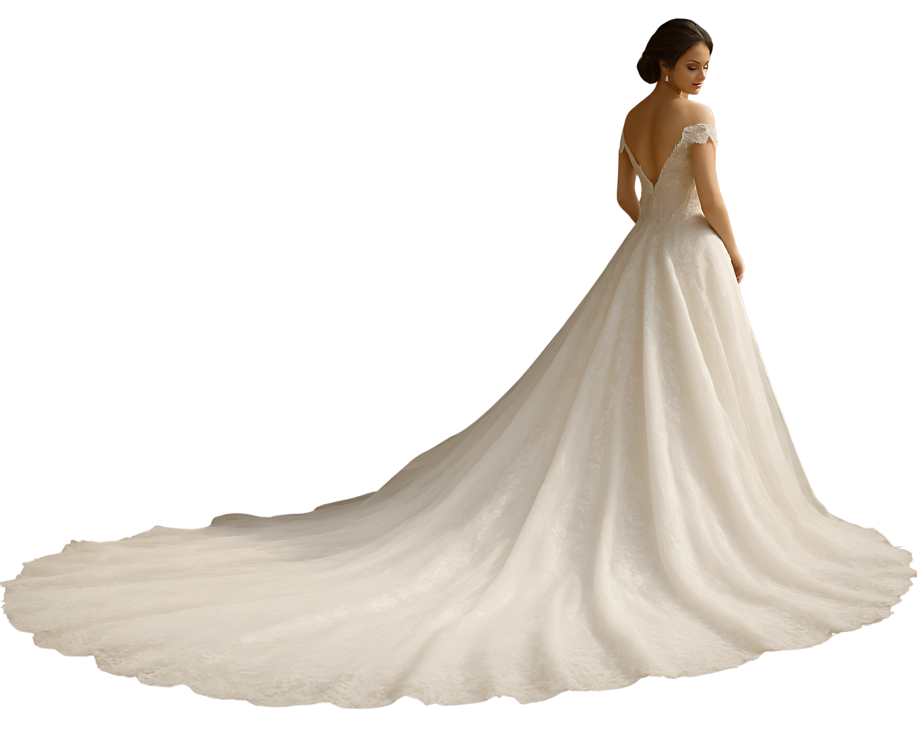 long-tail-wedding-gowns