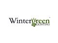 Wintergreen Lighting Coupon Code