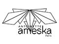 Antoinette Ameska Promo Code