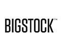 Bigstock Photo Coupon Codes