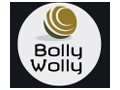 Bollywolly Coupon Code