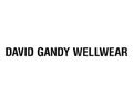 David Gandy Wellwear Discount Code