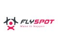 Flyspot