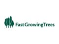 Fast Growing Trees Coupon Codes