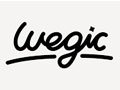 Wegic Ai Wegic Ai